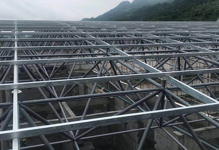 芜湖学校艺体楼网架
